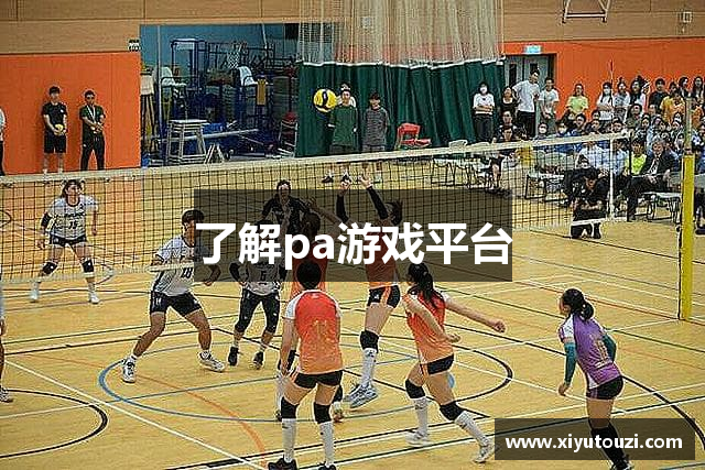 了解pa游戏平台